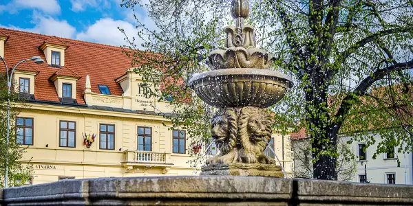 4* hotel ve Slaném: jídlo, wellness i masáž