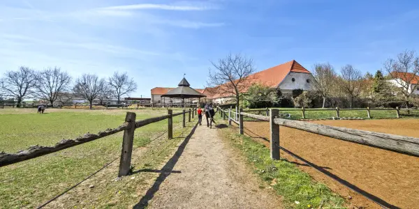 Farma u Znojma: strava i projížďka na koni či v kočáře