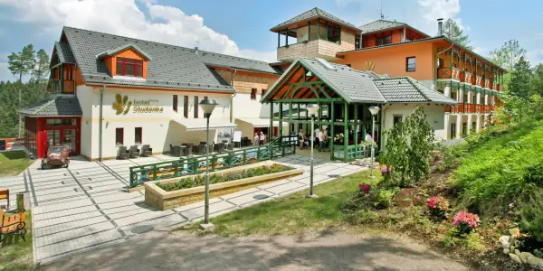 Wellness odpočinek v Orlických horách vč. jídla