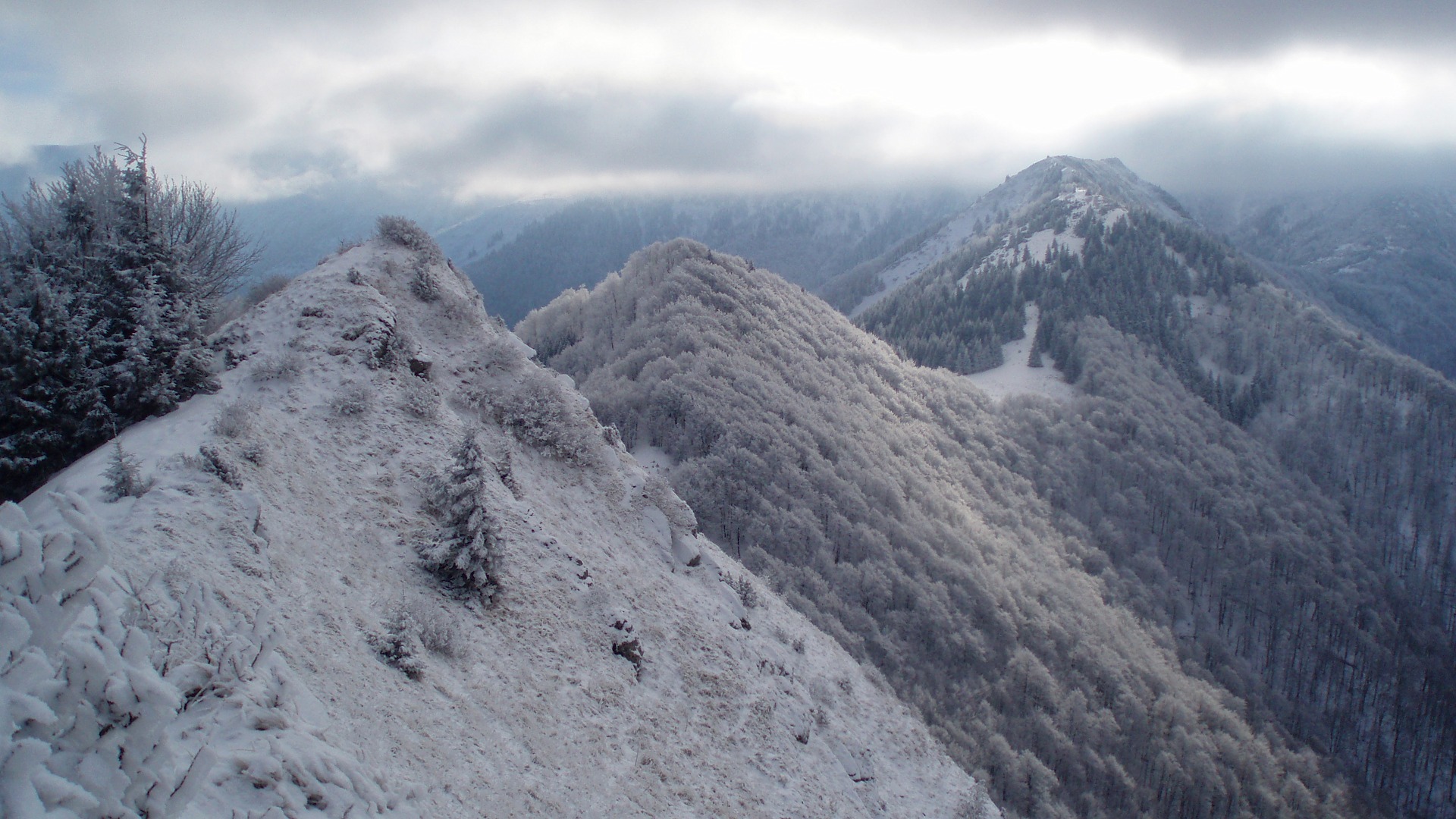Výhled z vrcholu Baraniarky - pohled na zalesněný vrchol Žitné a vyšší Kraviarske