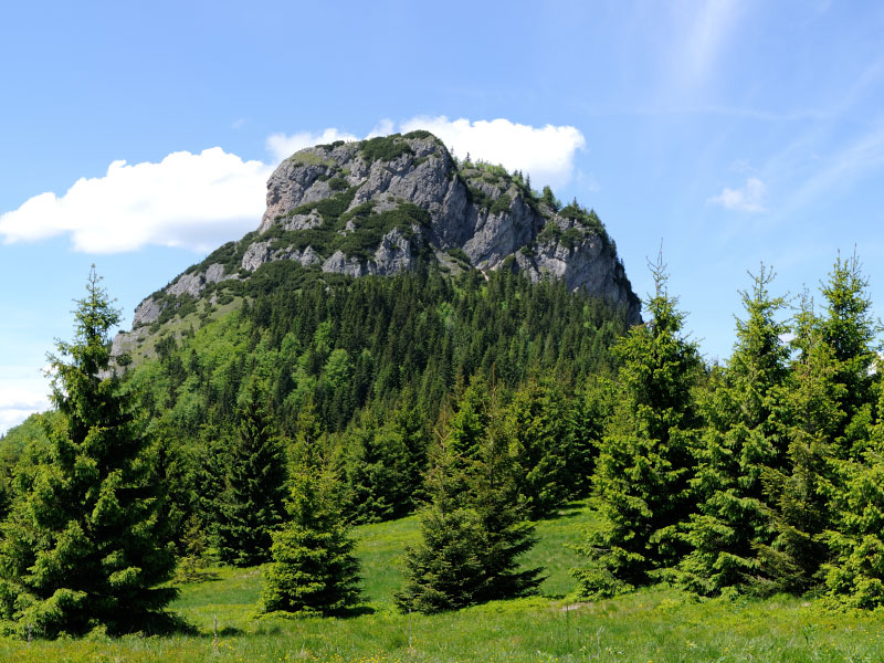 Malý Rozsutec