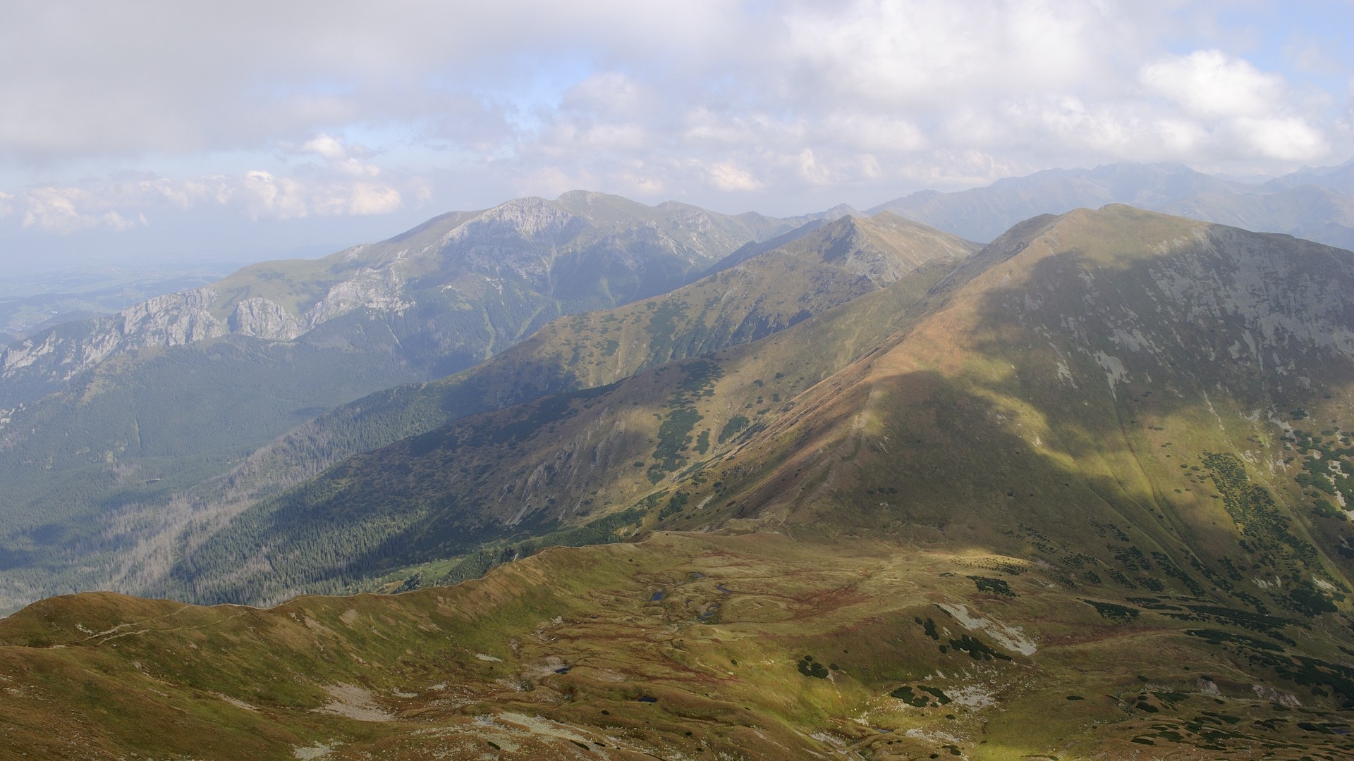 Výhled z Bystré do závěru Kamenisté doliny, na Pyšné sedlo, Velkou Kamenistou a Temniak